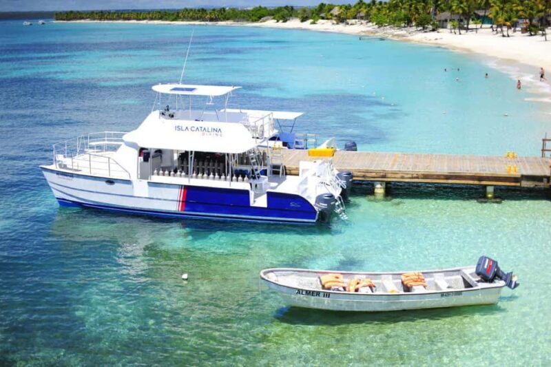 Punta Cana: Full-Day Snorkeling Tour to Catalina Island - Introduction: Why This Tour Stands Out