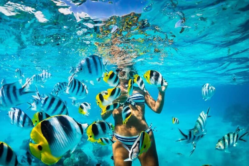 Punta Cana: Full-Day Snorkeling Tour to Catalina Island - Why This Tour Offers Good Value