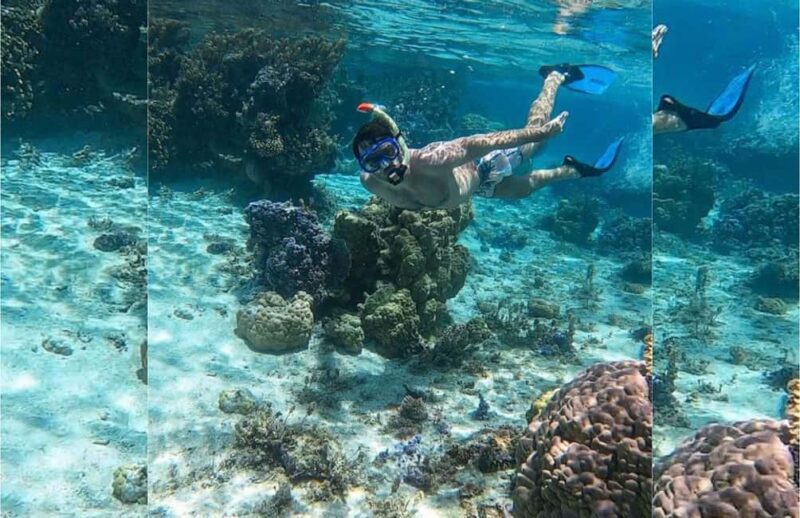 Punta Cana: Full-day Snorkelling Tour in Catalina Island - Food and Refreshments: The Included Buffet