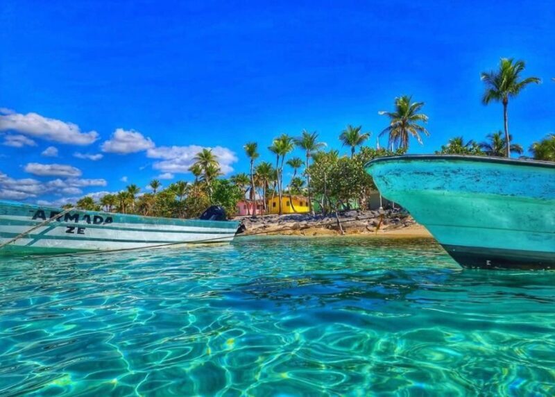 Punta Cana: Full-day Snorkelling Tour in Catalina Island - Transportation: A Mixed Bag