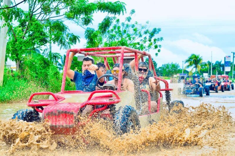 Punta Cana: Half-Day Buggy Tour with PickUp & Macao Beach - An Overview of the Experience