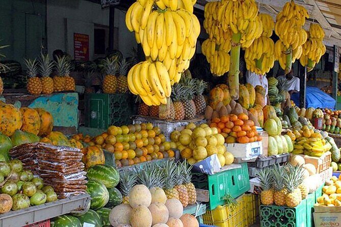 Punta Cana Half-Day Cultural Safari with Lunch and Drinks - The Value Proposition