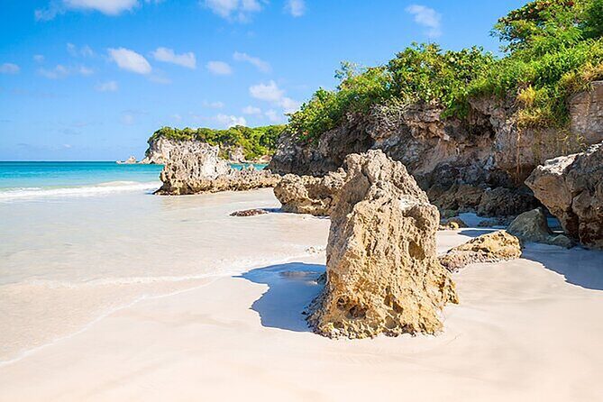 Punta Cana Half-Day Cultural Safari with Lunch and Drinks - FAQ