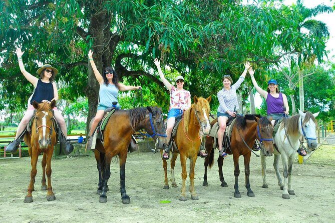 Punta Cana Half-Day Cultural Safari with Lunch and Drinks - Why This Tour Works Well