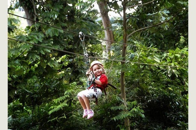 Punta cana: Half-Day Zipline Tour - Practical Details: Cost, Transport, and What’s Included