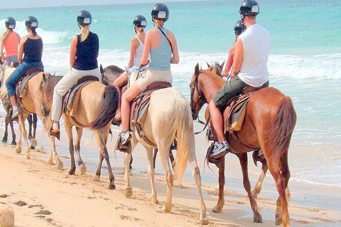 Punta Cana Horse Riding for Beaches in Field - An In-Depth Look at the Punta Cana Horse Riding Tour