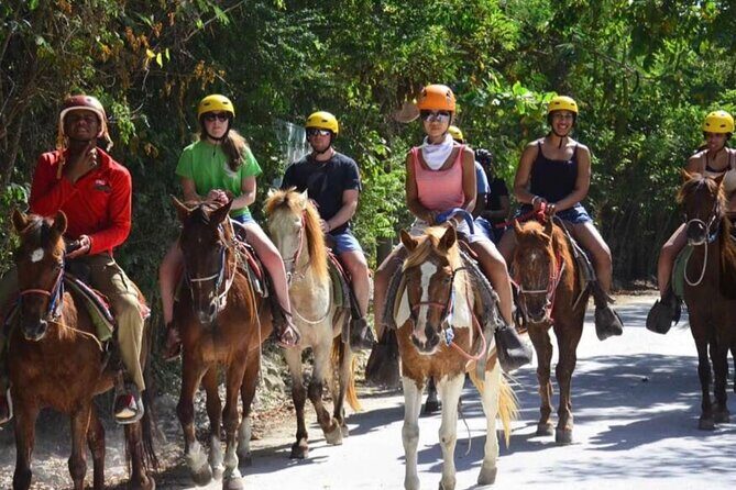 Punta Cana Horse Riding for Beaches in Field - The Sum Up