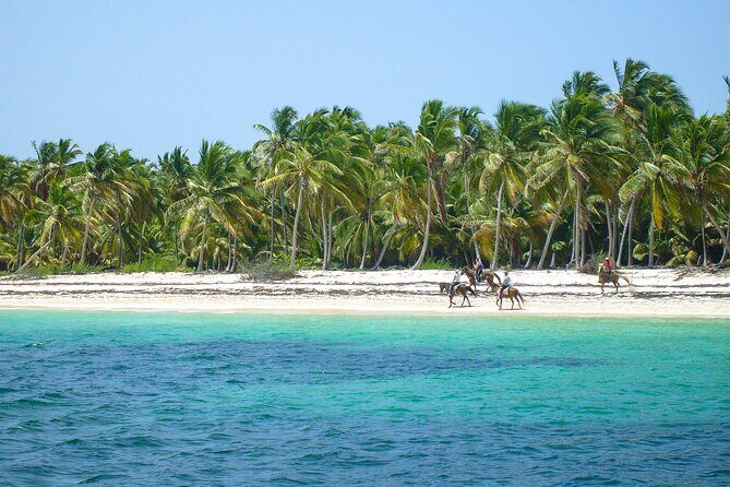 Punta Cana Horseback Riding Adventure - FAQs