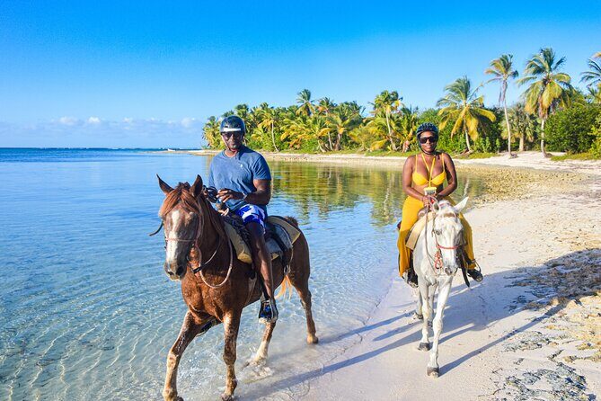 Punta Cana Horseback Riding Adventure - Final Takeaway