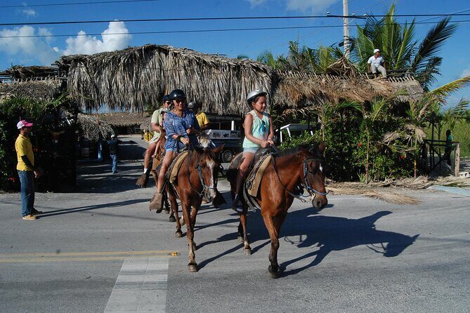 Punta Cana Horseback Riding on the Beach - Authentic Experiences and Authenticity