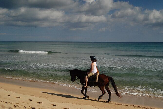Punta Cana Horseback Riding on the Beach - Who Should Consider This Tour?