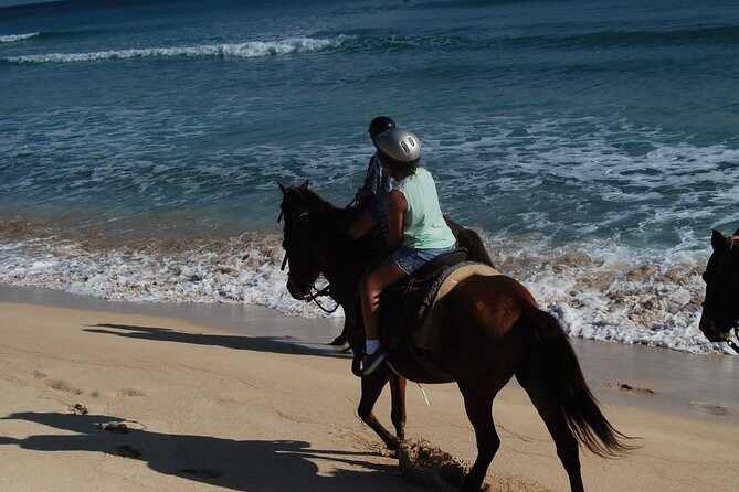 Punta Cana Horseback Riding on the Beach - FAQ