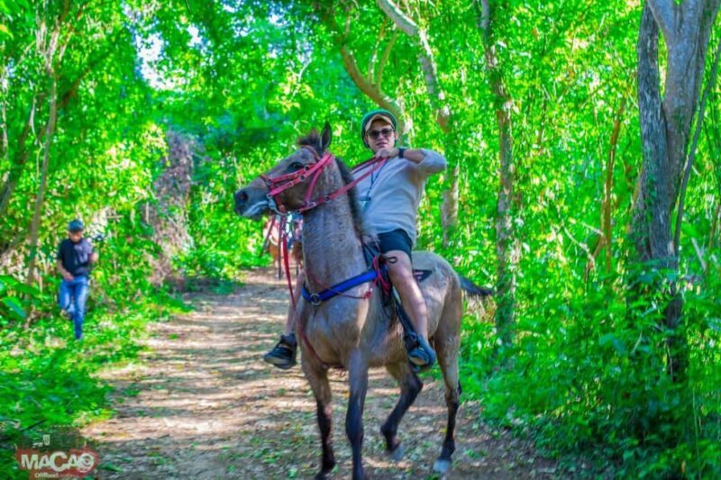 Punta Cana Horseback riding & Sunset + beach + free pick-up - Key Points