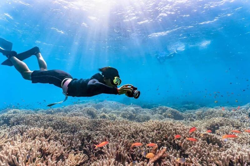 Punta Cana: Island escape to catalina snorkeling & lunch - A Closer Look at the Experience