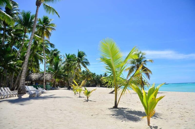 Punta cana: Island Escape to Saona catamaran & Beach lunch - Authentic Reviews & Insights