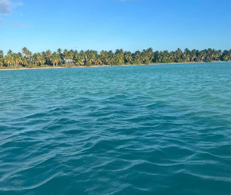 Punta cana: Island Escape to Saona catamaran & Beach lunch - The Sum Up: Is This Tour Worth It?