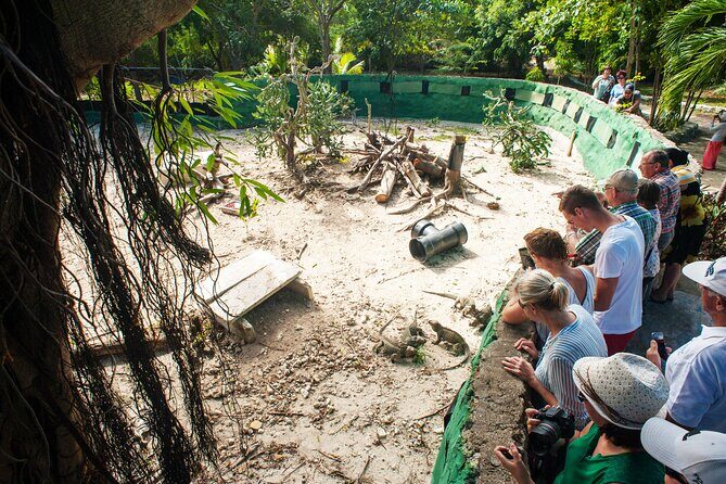 Punta Cana Lagoon Tour with Lunch, Boat Cruise, Open Bar - Who Will Love This Tour?