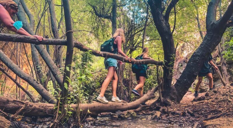 Punta Cana: Los Haitises Hike & Kayaking Mangroves - Who Should Consider This Tour?