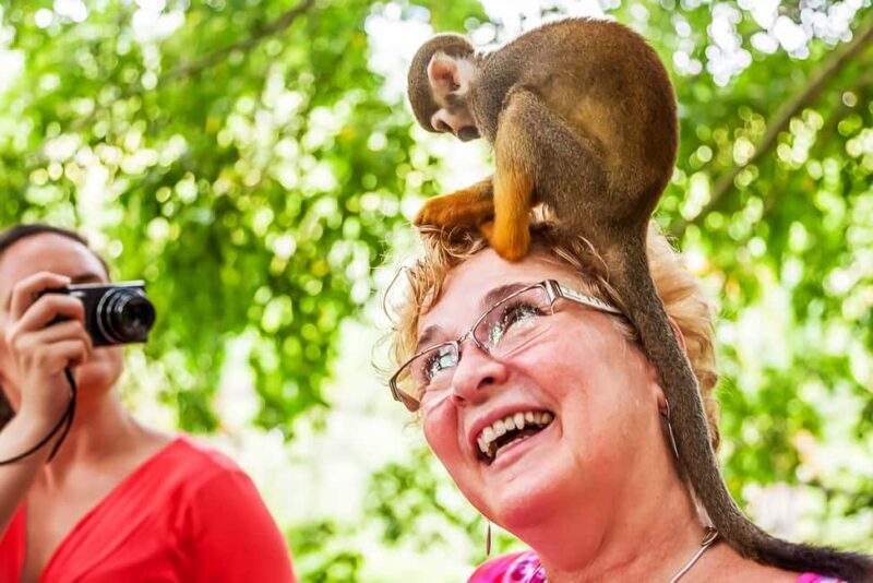 Punta Cana: Monkey Land Half-Day Safari and Plantation - The Itinerary Breakdown