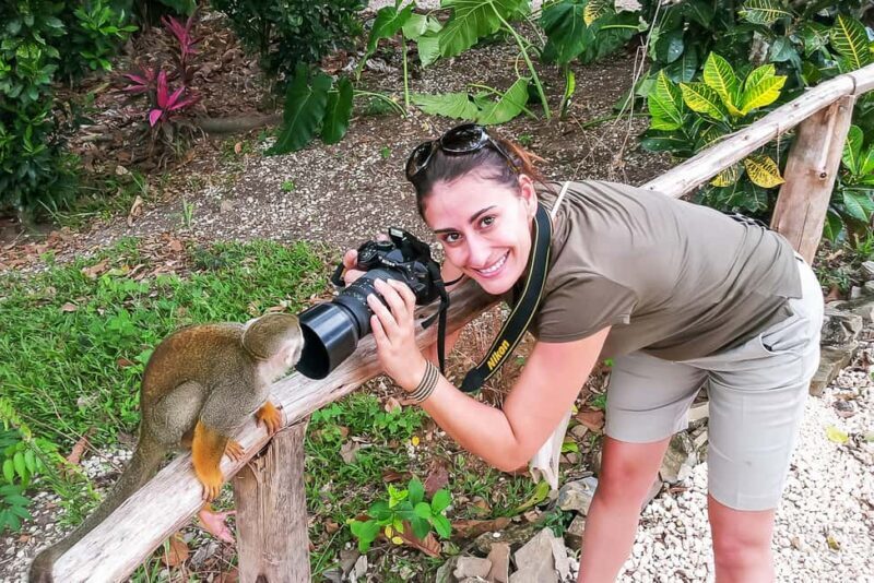 Punta Cana: Monkey Land Half-Day Safari and Plantation - The Monkey Experience