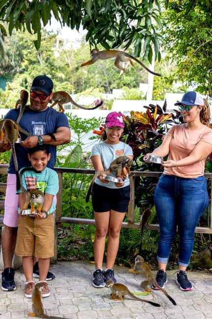 Punta Cana: Monkey Land Half-Day Safari and Plantation - The Cultural and Agricultural Component