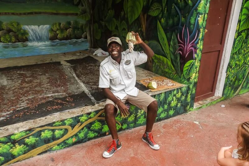 Punta Cana: Monkey Land Half-Day Safari and Plantation - Accessibility and Practical Tips