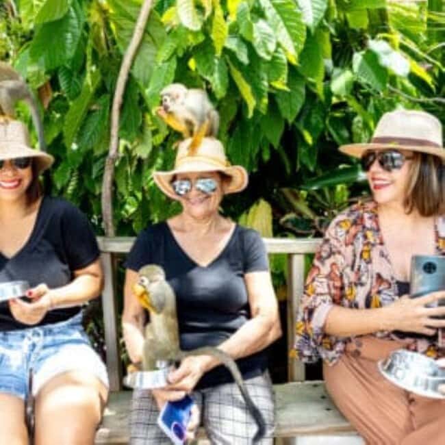 Punta Cana: Monkeyland Half-Day Tour with Snacks and Guide - Transportation and Practical Details