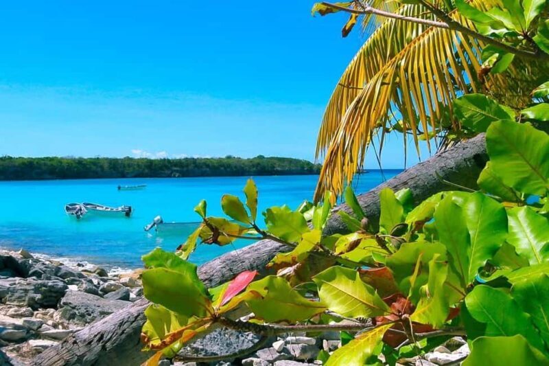 Punta Cana or La Romana: Catalina Island Tour and Snorkeling - The Realities of the Tour — Pros and Cons