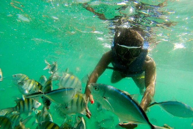 Punta Cana Party Boat Snorkeling with Music DJ and Open Bar - Setting the Scene: What Is This Tour All About?
