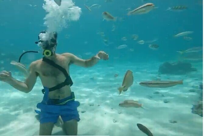 Punta Cana Party Cruise with Snorkeling, Hooka Diving and Parasailing - A Deep Dive into the Experience