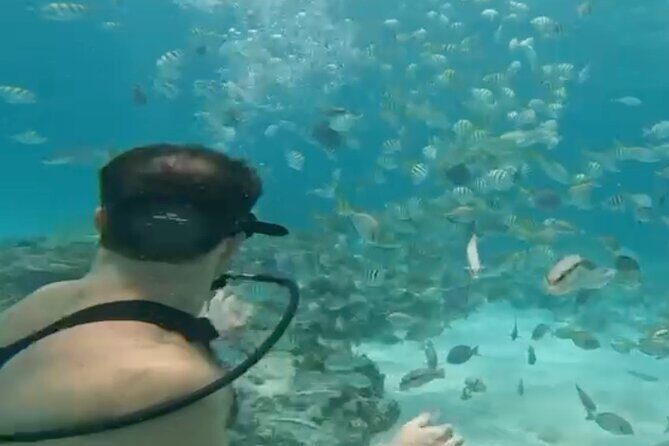 Punta Cana Party Cruise with Snorkeling, Hooka Diving and Parasailing - How to Make the Most of Your Day
