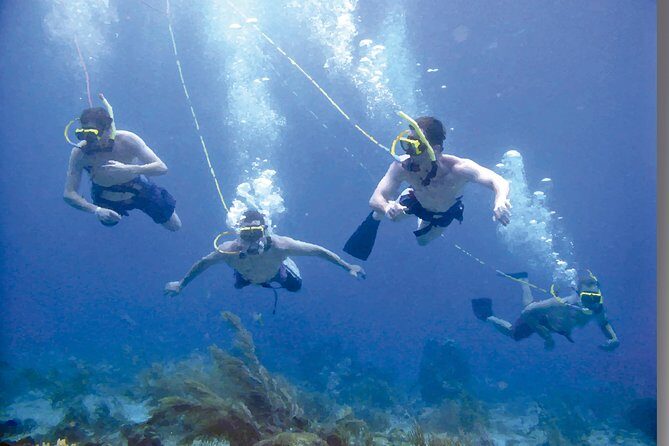 Punta Cana Party Cruise with Snorkeling, Hooka Diving and Parasailing - FAQ