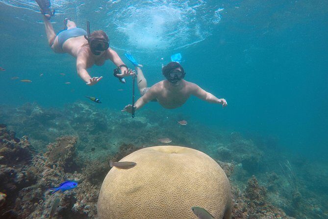 Punta Cana Private Cruise Up To 10 Snorkeling & Seafood lunch - Setting Sail in Punta Cana: What’s on Offer?