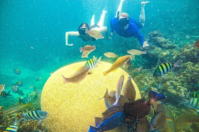 Punta Cana Private Cruise Up To 10 Snorkeling & Seafood lunch - Why This Tour Excels: Personalization and Quality