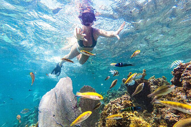 Punta Cana Private Cruise Up To 10 Snorkeling & Seafood lunch - What’s Included and Whats Not?