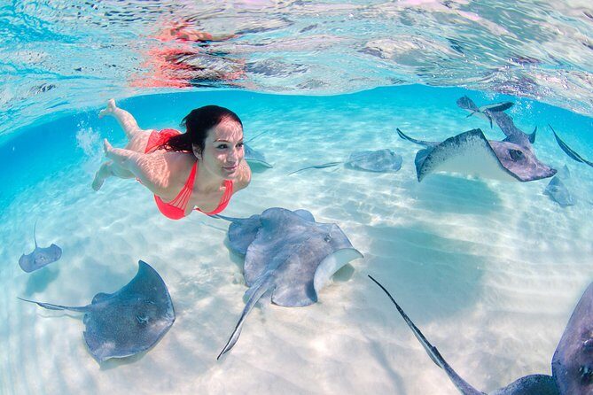 Punta Cana Private Virgen Beach Small & Big Group Snorkel Cruise - Pricing and Value