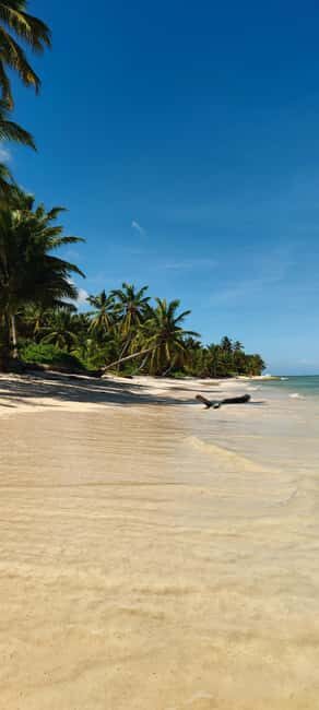 Punta Cana : Private yacht Snorkeling, Lagoon and Wild Beach - An In-Depth Look at the Tour