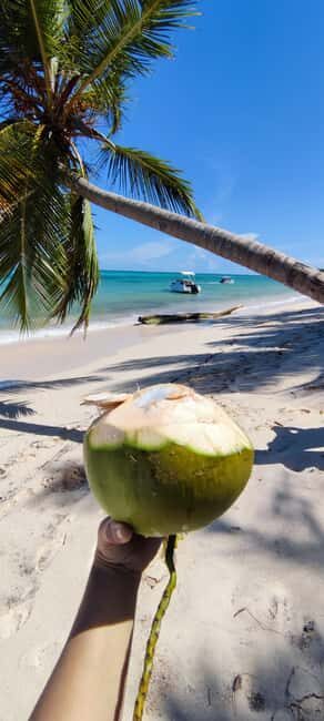 Punta Cana : Private yacht Snorkeling, Lagoon and Wild Beach - Final Thoughts