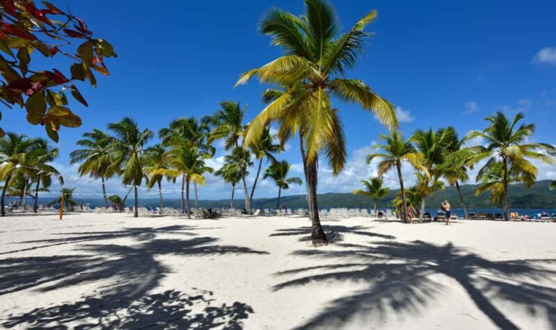 Punta Cana: Samaná Cayo Levantado & El Limón Waterfall Tour - Who Will Love This Tour?