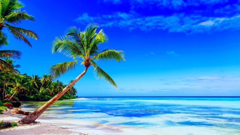 Punta Cana: Samaná Day Tour with Horse Ride and Cruise - Whale Watching and Best Time to Visit