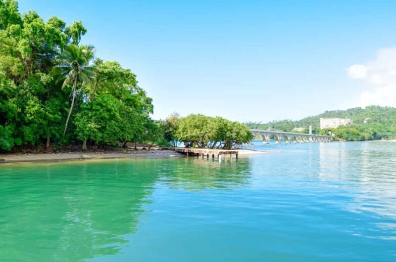 Punta Cana: Samaná Whale Watching and El Limón Day Tour - Key Points