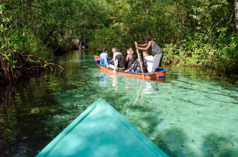 Punta Cana: Samaná Whale Watching and El Limón Day Tour - Who Will Enjoy This Tour?
