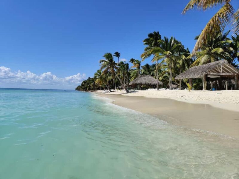 Punta Cana - Santo Domingo: Saona Island VIP Catamaran Tour - Key Points