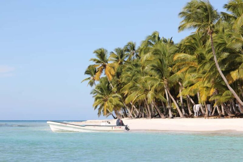 Punta Cana: Saona Island and Altos de Chavón Day Trip - Who Should Consider This Tour?