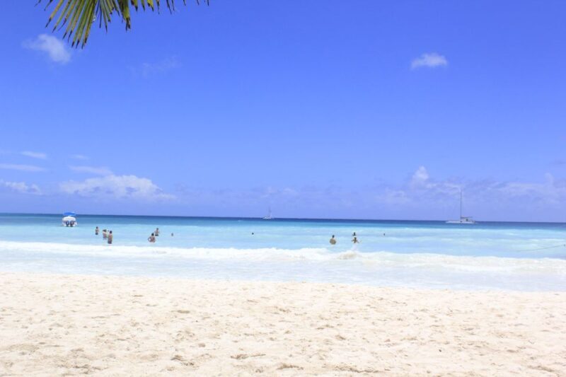 Punta Cana: Saona Island and Altos de Chavón Day Trip - FAQ