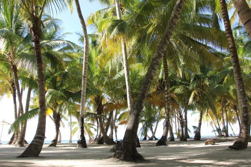 Punta Cana: Saona Island and Altos de Chavón Day Trip - Final Thoughts