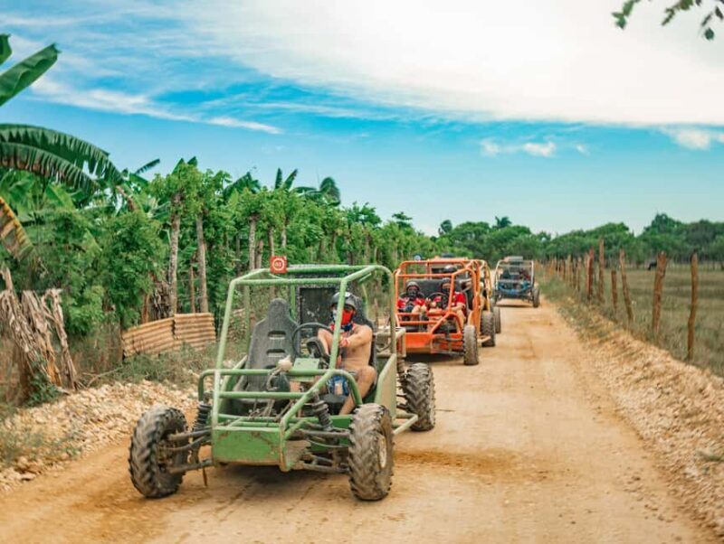 Punta Cana: Saona Island and Buggy Combo - Who Should Consider This Tour?