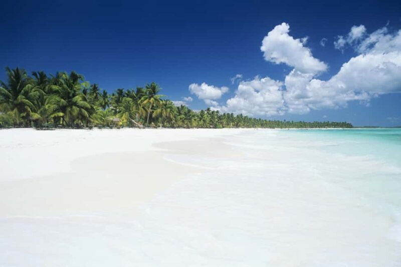 Punta Cana: Saona Island Catamaran Adventure with Lunch - Key Points