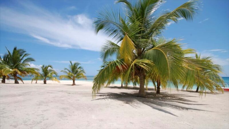 Punta Cana: Saona Island Catamaran Adventure with Lunch - Transportation and Duration: What You Need to Know