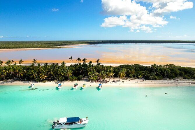 Punta Cana: Saona Island Catamaran Open Bar / Food Hotel Pickup - Who Should Book This Tour?